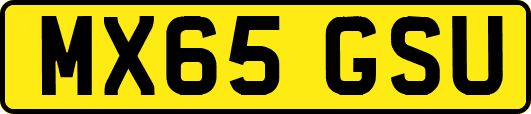 MX65GSU
