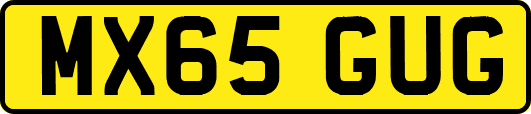 MX65GUG