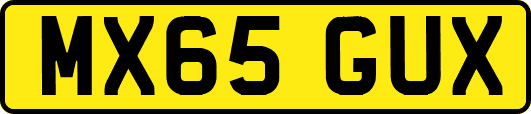 MX65GUX