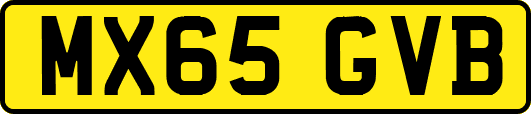 MX65GVB
