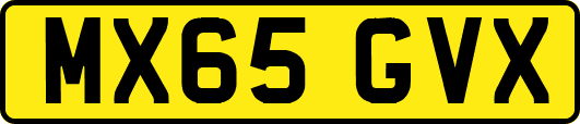 MX65GVX