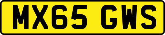 MX65GWS