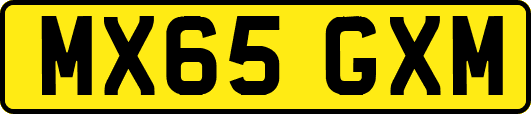 MX65GXM