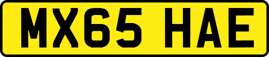 MX65HAE