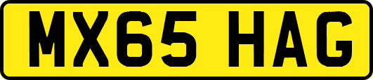 MX65HAG