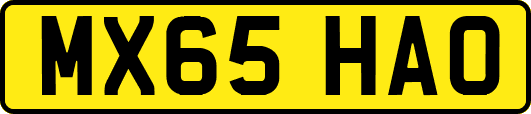 MX65HAO