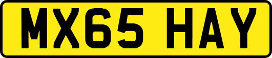 MX65HAY