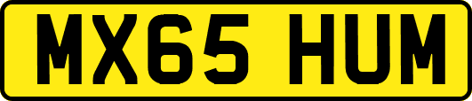 MX65HUM
