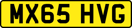 MX65HVG