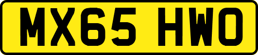 MX65HWO