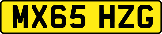 MX65HZG