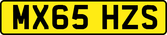 MX65HZS