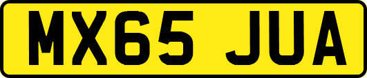 MX65JUA