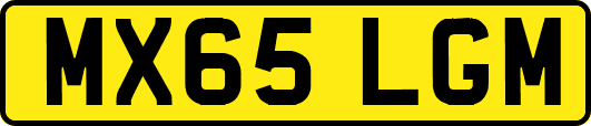 MX65LGM