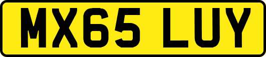 MX65LUY
