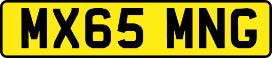 MX65MNG