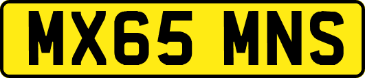 MX65MNS