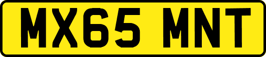 MX65MNT