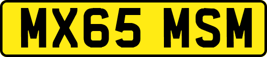 MX65MSM