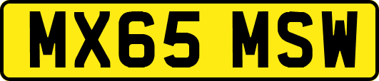 MX65MSW