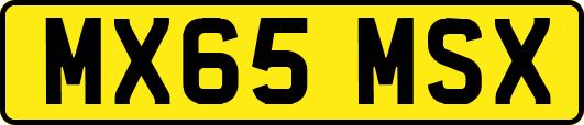 MX65MSX