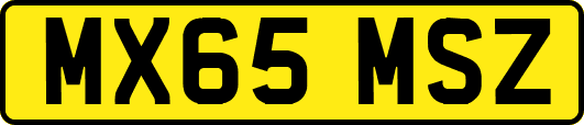 MX65MSZ