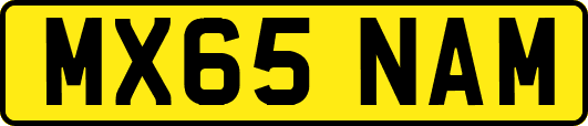 MX65NAM