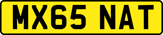 MX65NAT