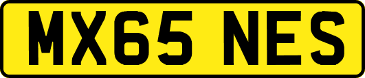 MX65NES