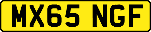 MX65NGF