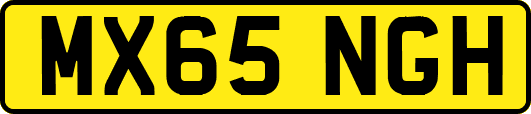 MX65NGH