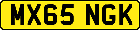 MX65NGK