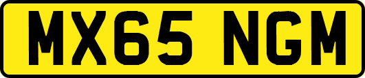 MX65NGM