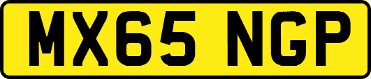 MX65NGP