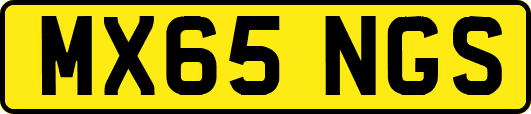 MX65NGS