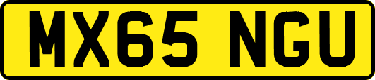 MX65NGU