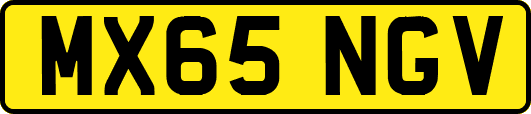 MX65NGV