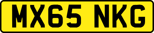 MX65NKG