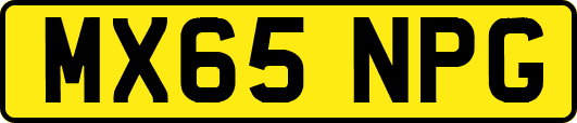 MX65NPG