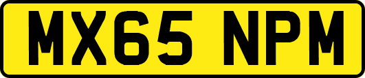 MX65NPM