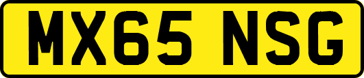 MX65NSG
