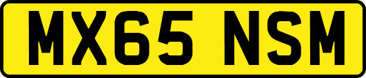 MX65NSM