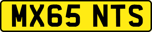 MX65NTS