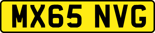 MX65NVG