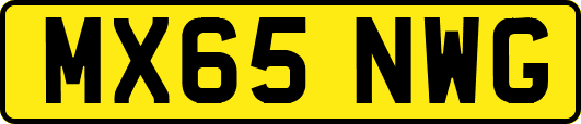 MX65NWG