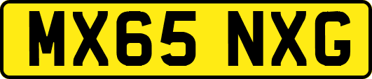 MX65NXG