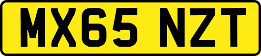 MX65NZT