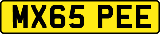 MX65PEE