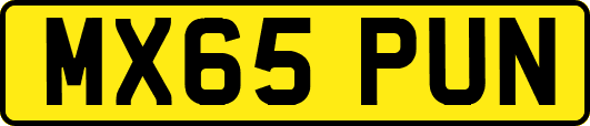 MX65PUN