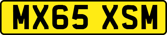 MX65XSM